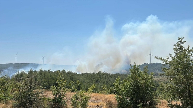 Çanakkale'de orman yangını