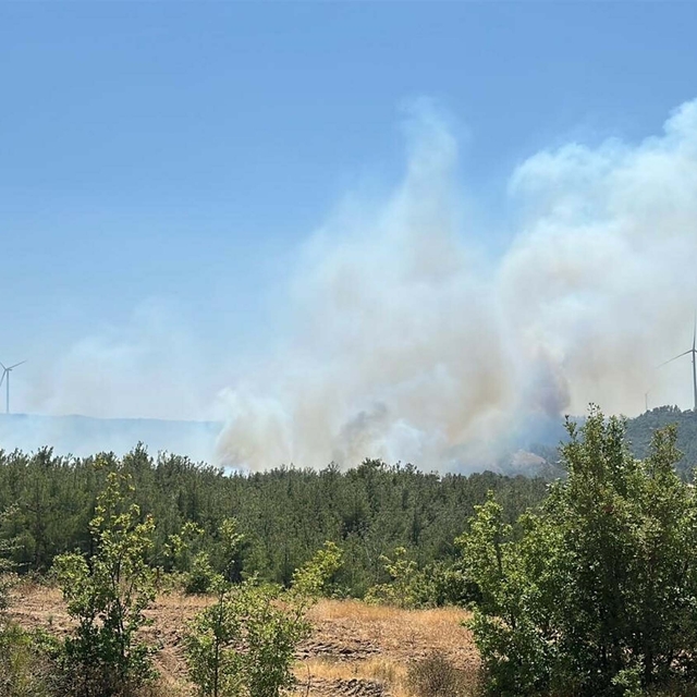 Çanakkale'de orman yangını