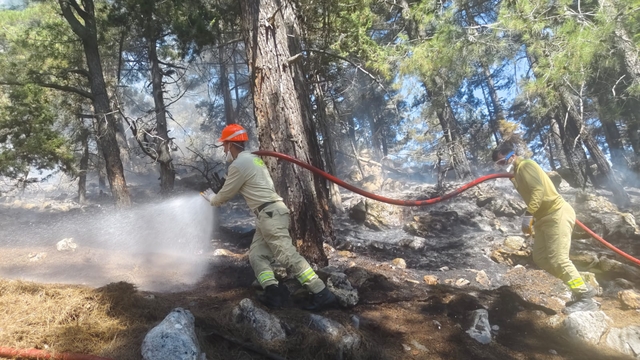 Adana'da çıkan orman yangını kontrol altına alındı