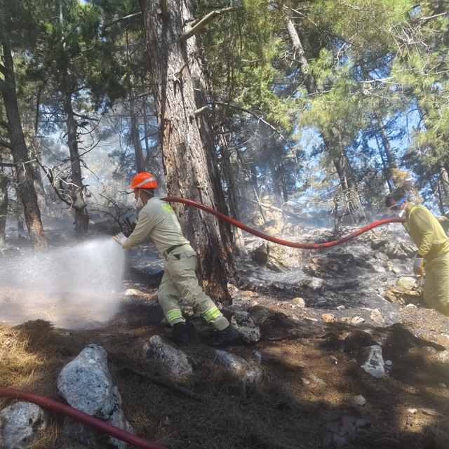 Adana'da çıkan orman yangını kontrol altına alındı