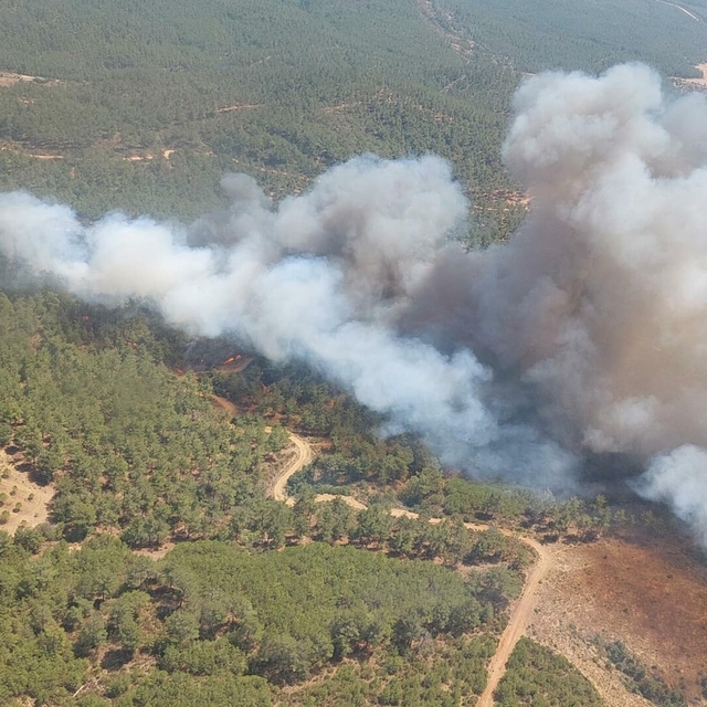 Çanakkale orman yangını (2)