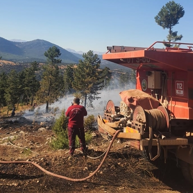 Adana Saimbeyli'de çıkan orman yangını kontrol altına alındı