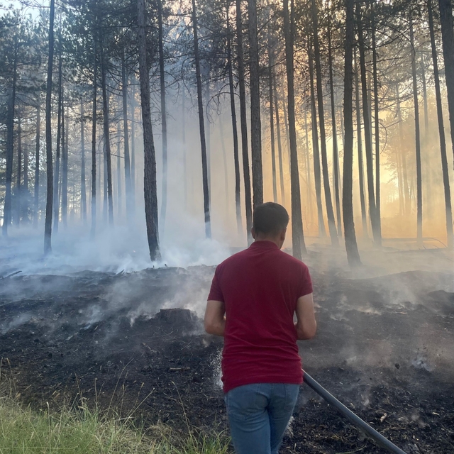 Kastamonu'da çıkan orman yangını kısa sürede söndürüldü