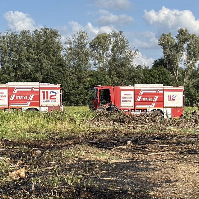 Samsun'da tarlada çıkan yangın ormanlık alana sıçramadan söndürüldü