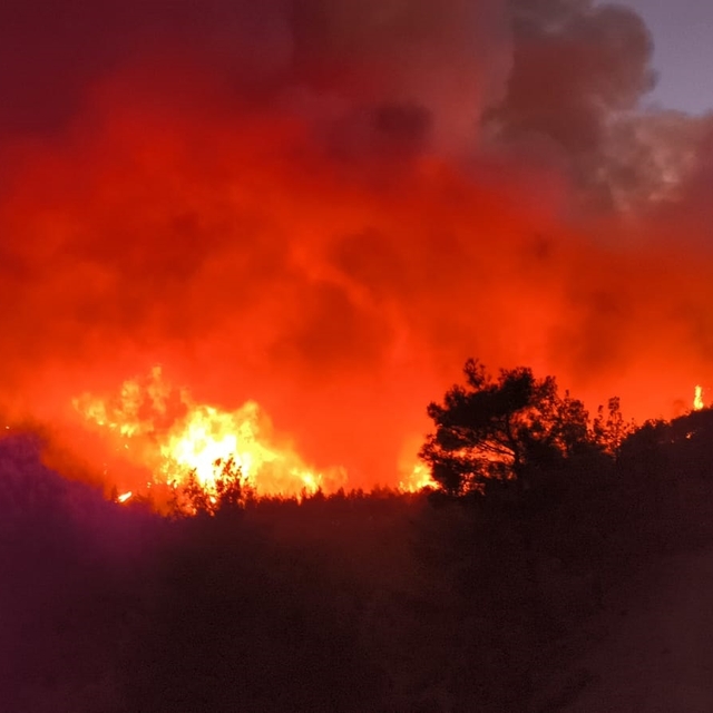 Hatay'da orman yangını