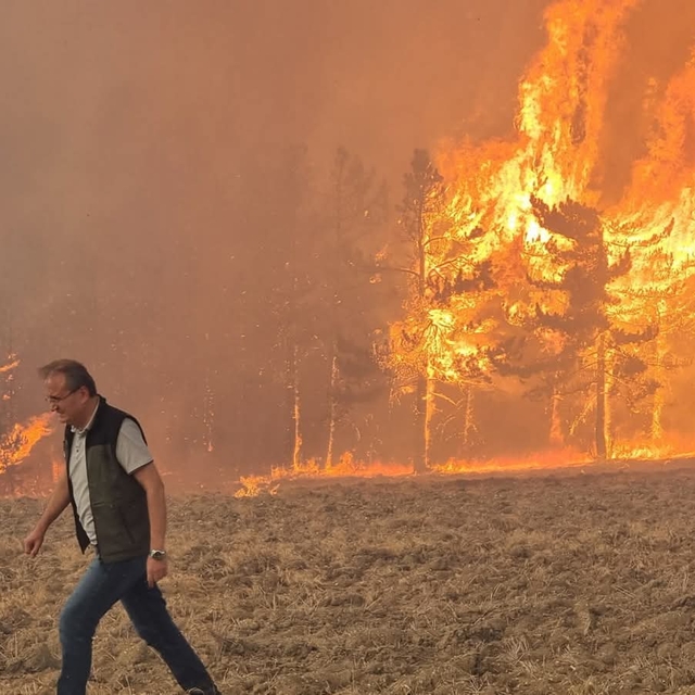 Bolu'da orman yangınına neden olan 1 şüpheli tutuklandı