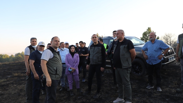 Çankırı'da çıkan orman yangını kontrol altına alındı (2)