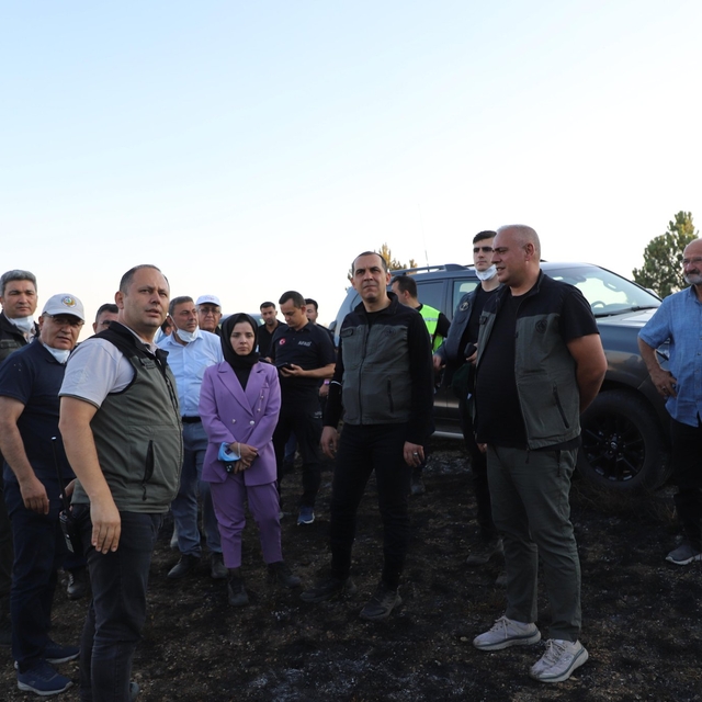 Çankırı'da çıkan orman yangını kontrol altına alındı (2)