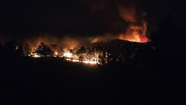 Mersin'de 3 ayrı noktada orman yangını (4)