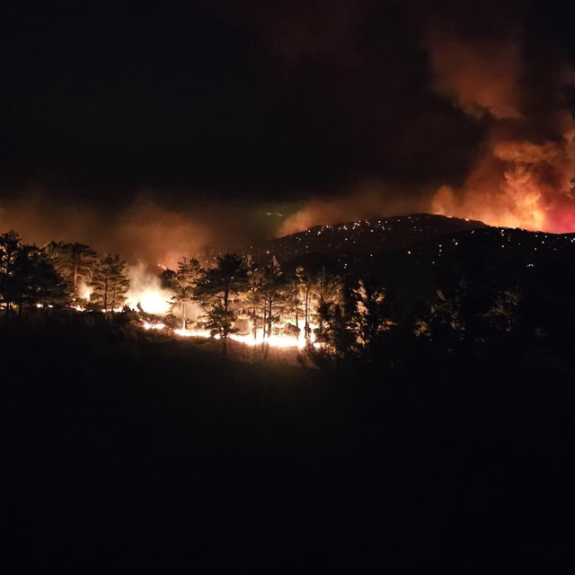 Mersin'de 3 ayrı noktada orman yangını (4)