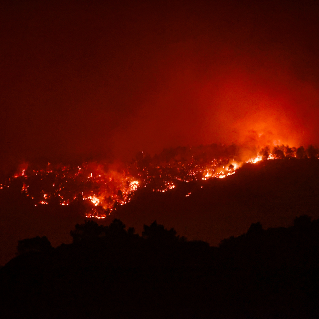 GÜNCELLEME 3 - Mersin'de ormanlık alanda yangın çıktı