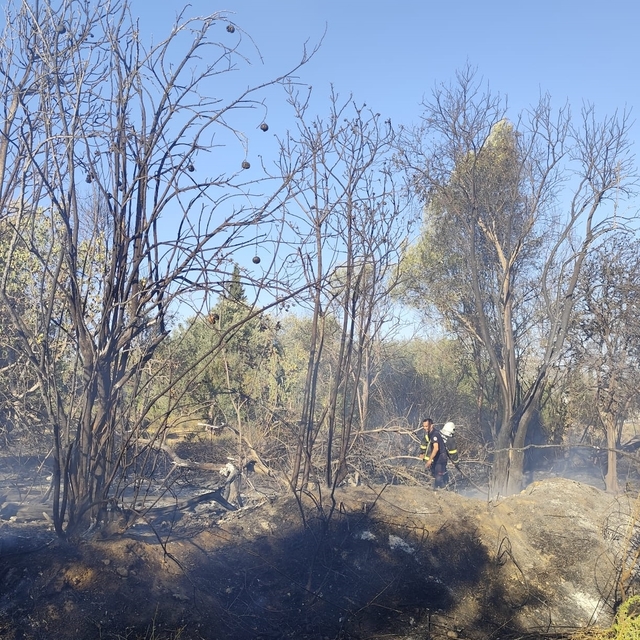 Adana'da otluk alandan zeytinliğe sıçrayan yangın söndürüldü