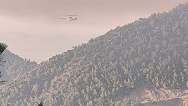 Hatay'daki orman yangını ikinci gününde; havadan müdahale başladı