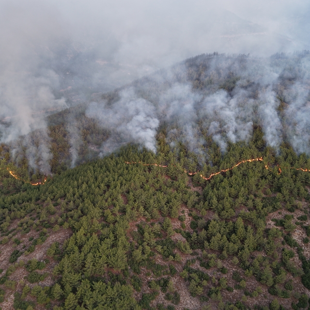 Hatay'da dün çıkan orman yangınına müdahale ediliyor