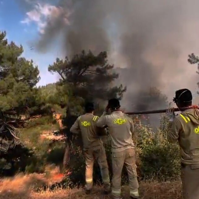 Mersin'deki orman yangını 2'nci gününde