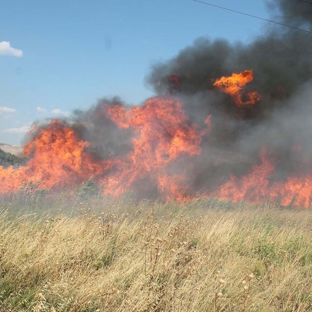 'Orman yangını riski eylül ayında da devam edebilir'