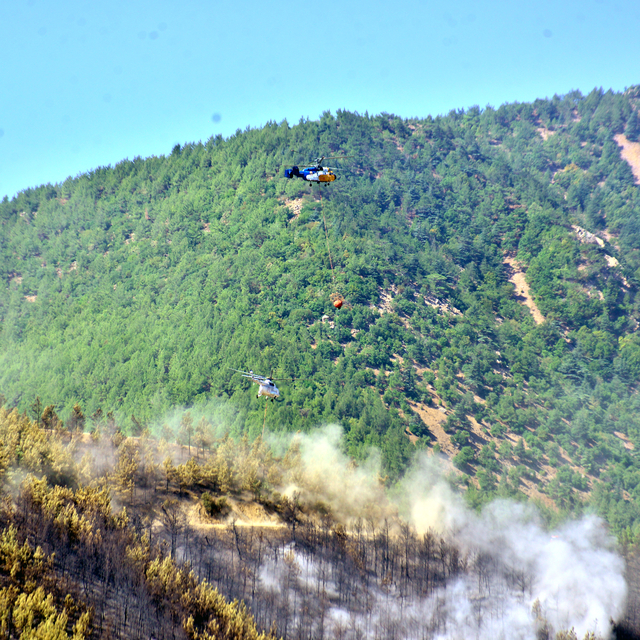 Hatay'daki orman yangını ikinci gününde; havadan müdahale başladı (2)