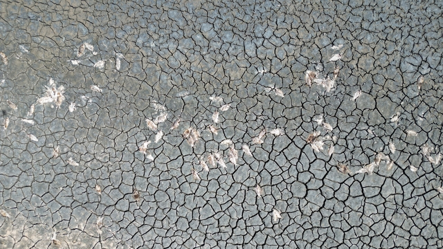 Kuraklıktan etkilenen Ulaş Gölü'ne 'can suyu'