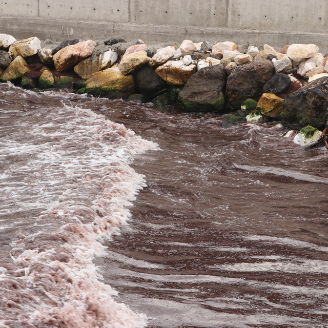 Tekirdağ'da poyraz nedeniyle sahilin bir kısmı kırmızı yosunla kaplandı