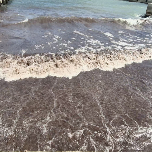 Tekirdağ'da deniz, kızıl yosunlar nedeniyle kırmızı renge büründü