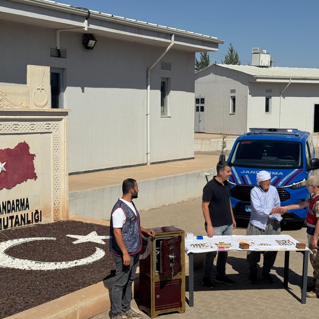 Mardin'de 2 hırsızlık şüphelisi tutuklandı