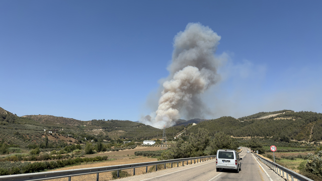 Osmaniye'de orman yangını çıktı