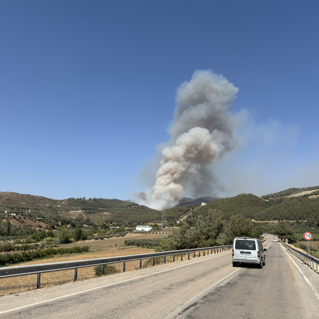 Osmaniye'de orman yangını çıktı