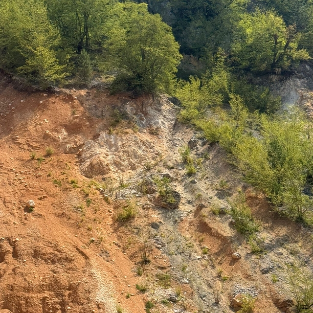 Düzce'de kayalıklarda mahsur kalan köpek kurtarıldı
