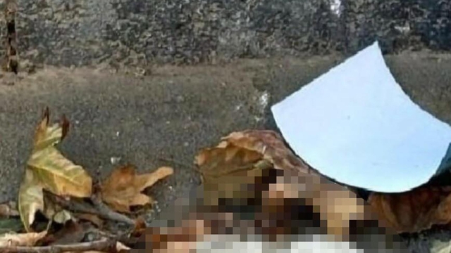 Turgutlu'da sokakta kedi başı bulundu iddiası