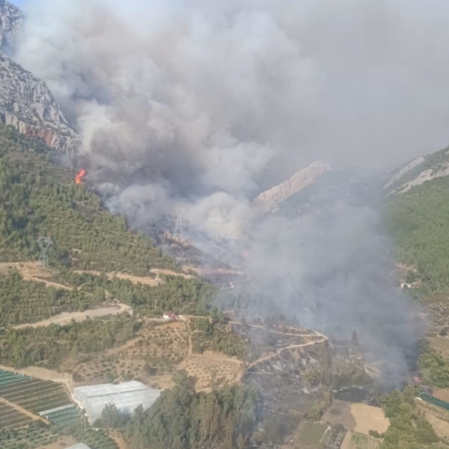 Mersin Anamur'da orman yangını çıktı