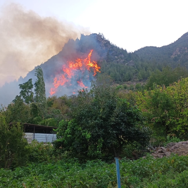 Hatay Kırıkhan'da orman yangını çıktı