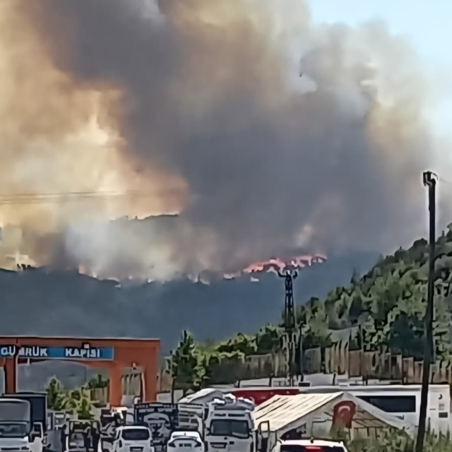 Suriye'de sınıra yakın bölgede çıkan orman yangını Türkiye'ye sıçradı (2)