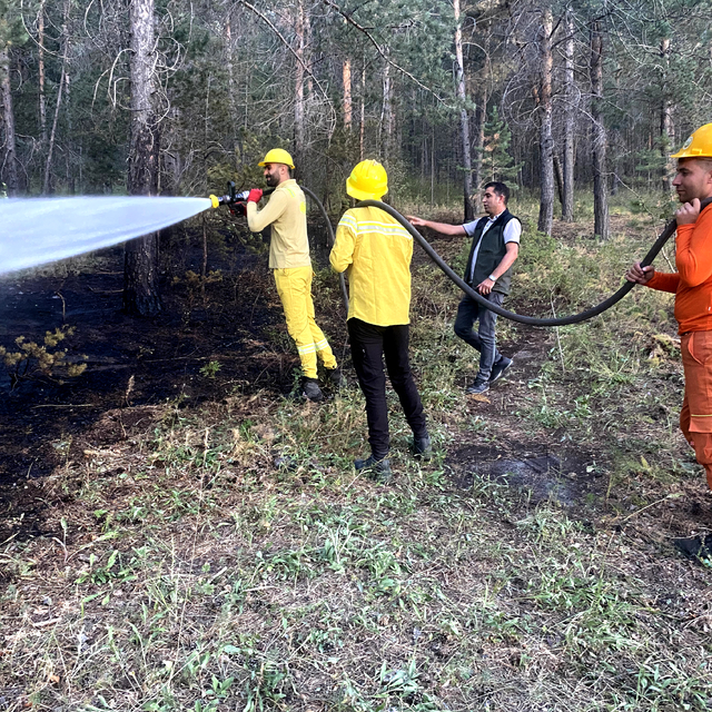 Kars'ta ormanlık alanda çıkan örtü yangını söndürüldü