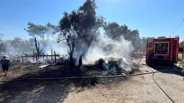 Muğla'da ahırda çıkan yangında 14 küçükbaş hayvan telef oldu