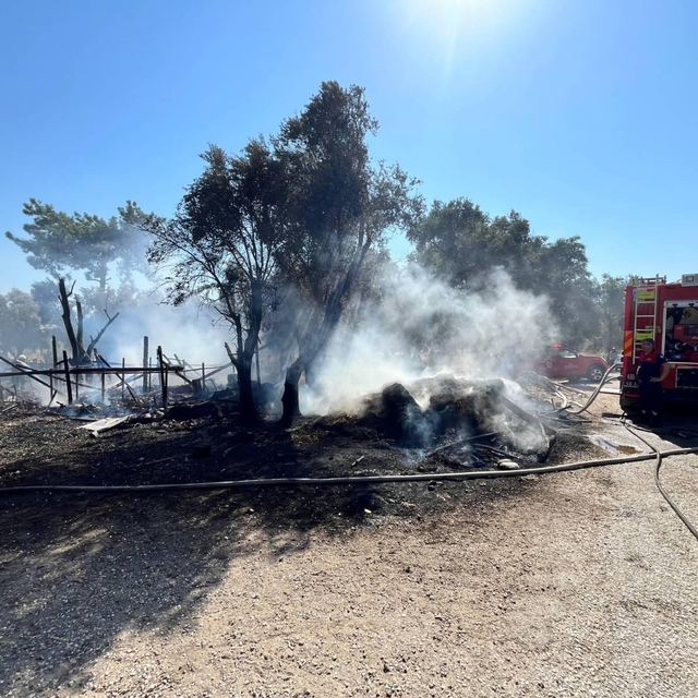Muğla'da ahırda çıkan yangında 14 küçükbaş hayvan telef oldu