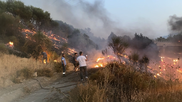 Aydın'da otoyoldaki kamyonda çıkıp ağaçlık alana sıçrayan yangın söndürüldü