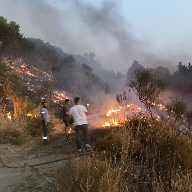 Aydın'da otoyoldaki kamyonda çıkıp ağaçlık alana sıçrayan yangın söndürüldü