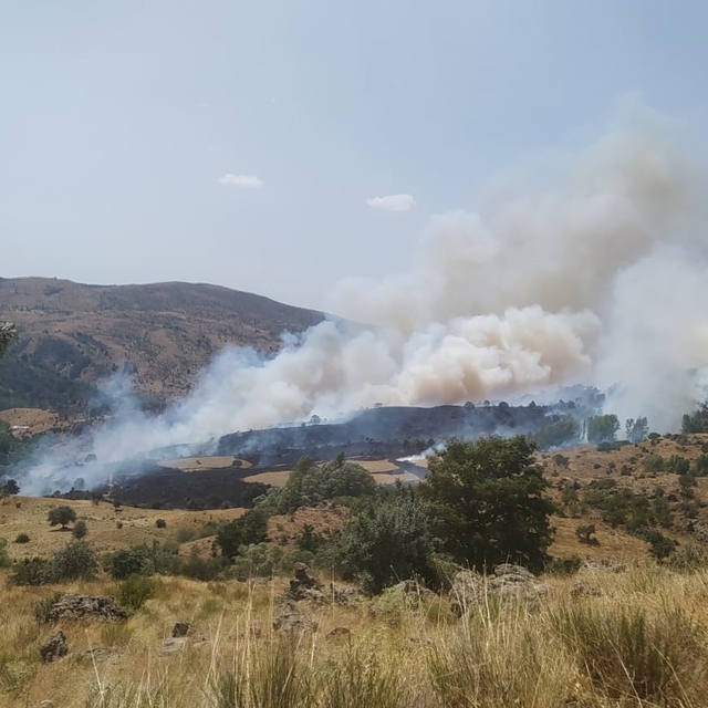 Afyonkarahisar'da çıkan örtü yangını söndürüldü