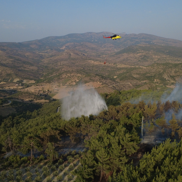 Manisa'da ormanlık alanda çıkan yangın kontrol altına alındı