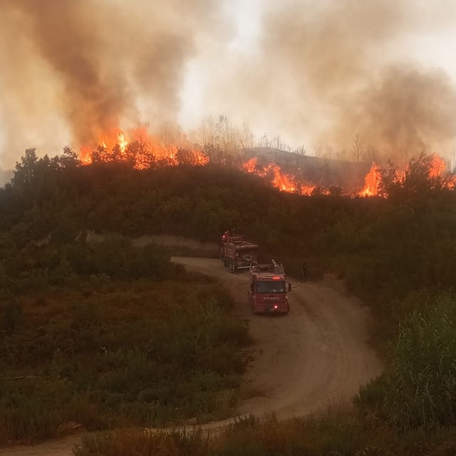 Hatay'da orman yangını ikinci gününde; havadan müdahale başladı (4)