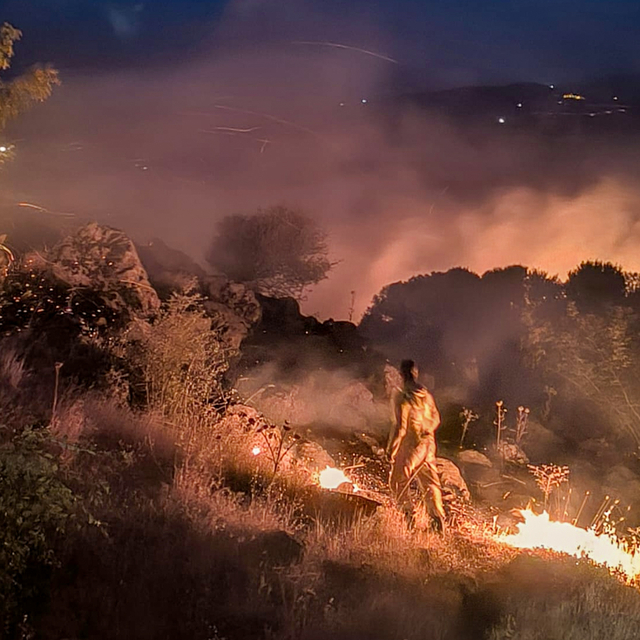 Diyarbakır'da ormanlık alanda çıkan yangına müdahale ediliyor