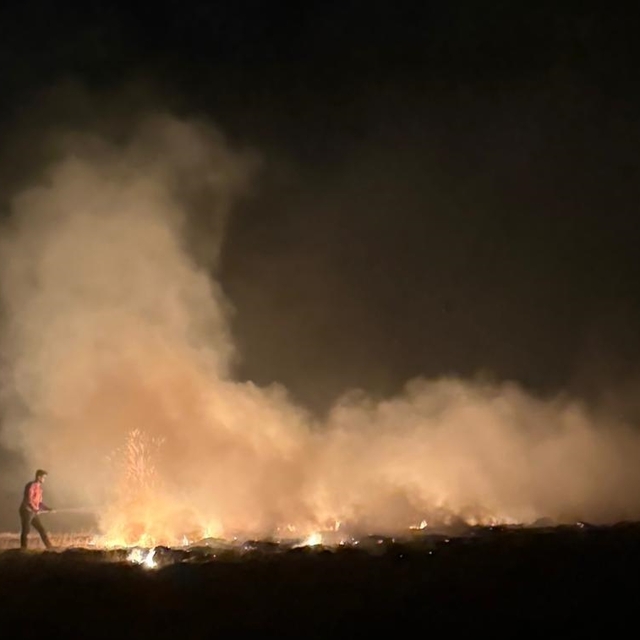 Niğde'de makilik alanda çıkan yangına müdahale ediliyor