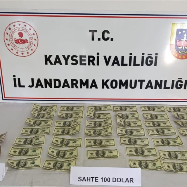 Kayseri'de sahte dolar operasyonunda 1 kişi yakalandı