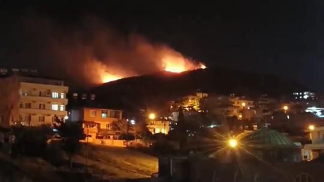 Hatay'da orman yangını ikinci gününde; havadan müdahale başladı (5)