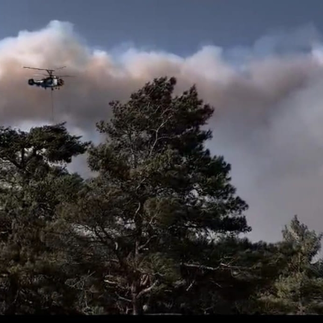 Mersin'in 2 ilçesindeki orman yangınlarına müdahale sürüyor