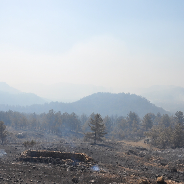 Mersin'in Silifke ilçesindeki orman yangınına 3. gününde müdahale sürüyor