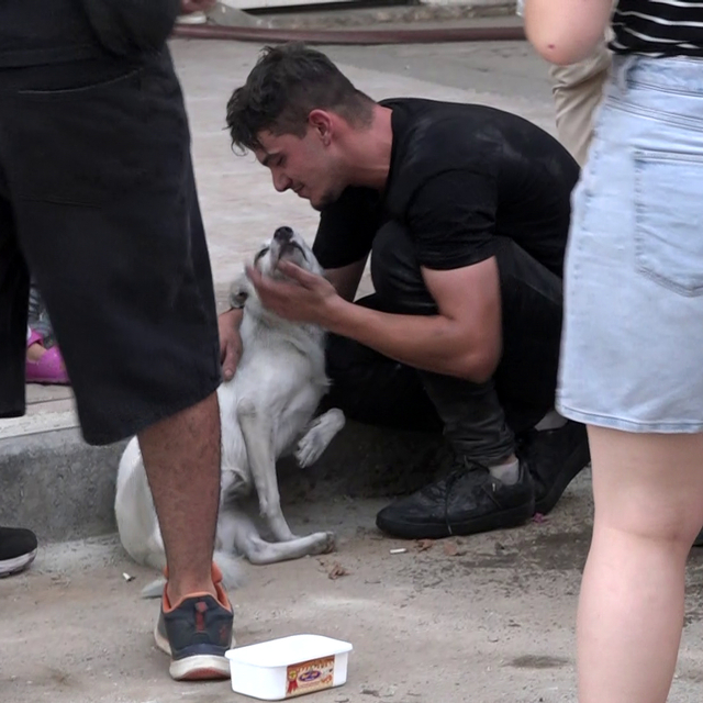 Yangın çıkan evdeki 2 köpeği itfaiye kurtardı