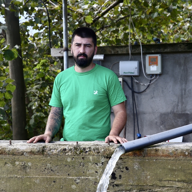 Giresun'da fındık bahçesine damla sulama sistemi kuran baba oğul verimi iki...