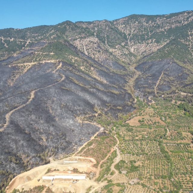 Hatay Hassa'daki orman yangını büyük ölçüde kontrol altına alındı