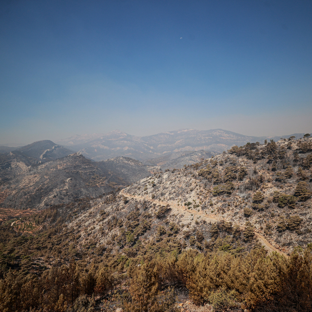 GÜNCELLEME - Mersin'in Silifke ilçesindeki orman yangını büyük ölçüde kontr...